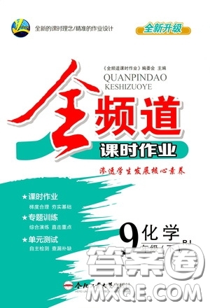 合肥大學(xué)出版社2020全頻道課時(shí)作業(yè)九年級化學(xué)下冊人教版答案