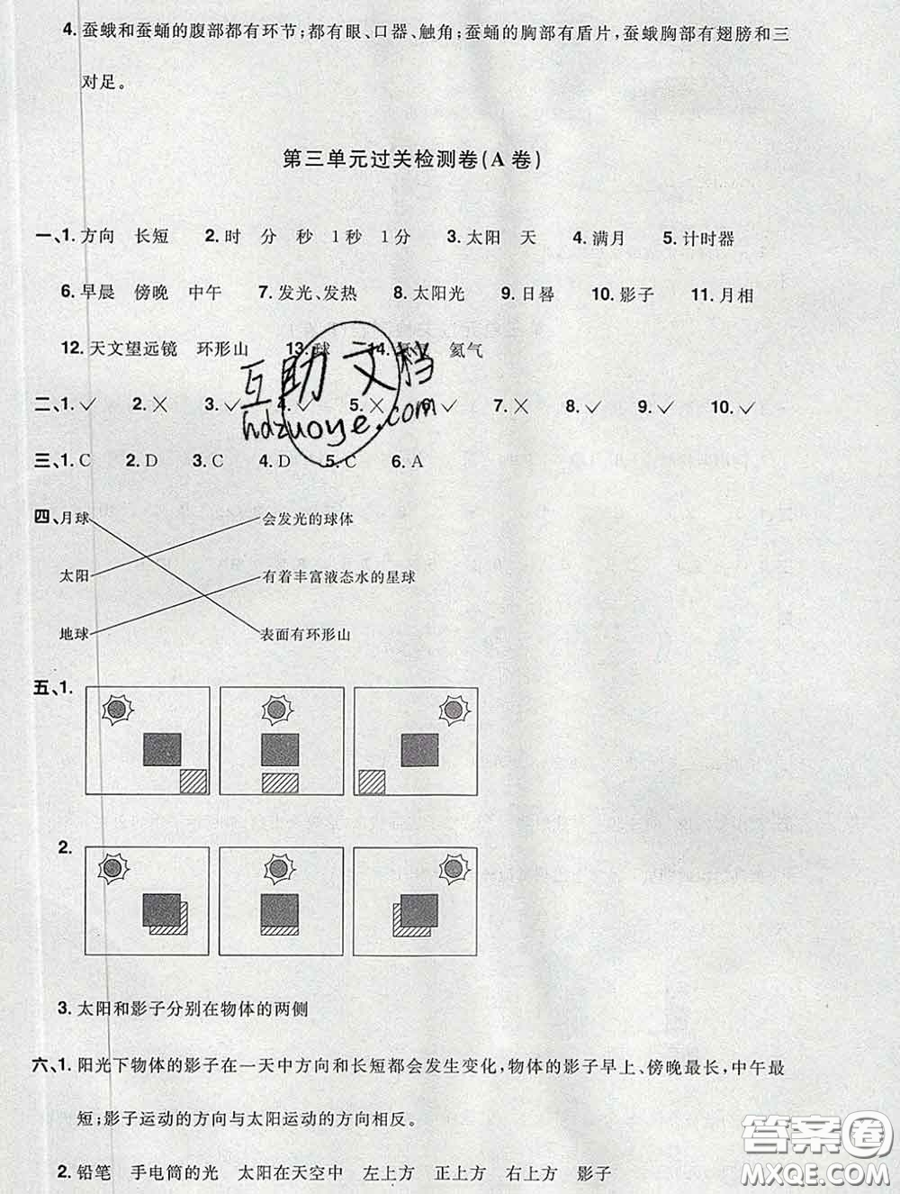 2020新版陽光同學(xué)一線名師全優(yōu)好卷三年級(jí)科學(xué)下冊(cè)教科版答案