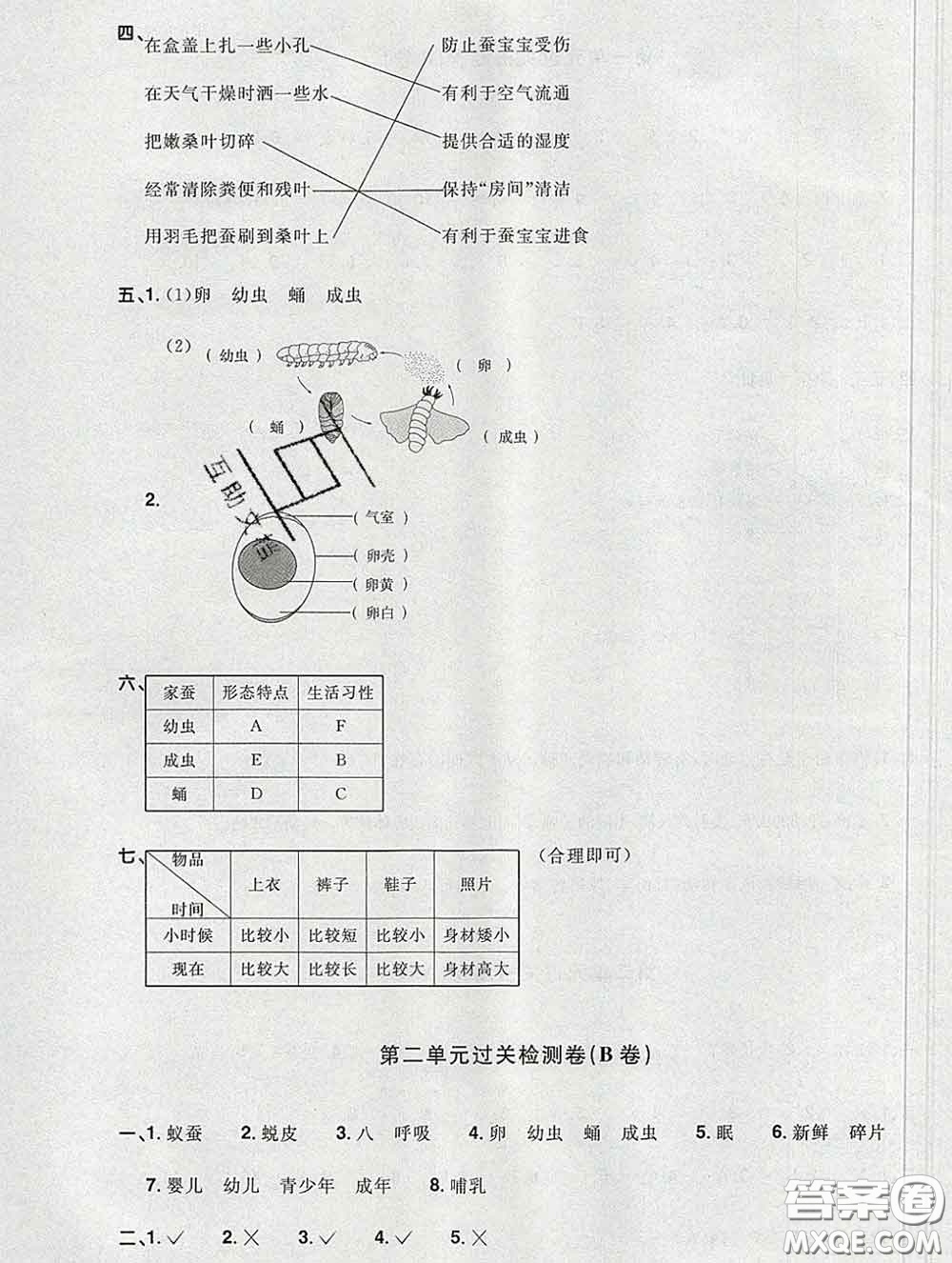 2020新版陽光同學(xué)一線名師全優(yōu)好卷三年級(jí)科學(xué)下冊(cè)教科版答案