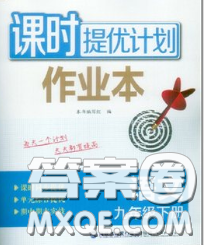 2020新版課時提優(yōu)計劃作業(yè)本九年級語文下冊人教版答案