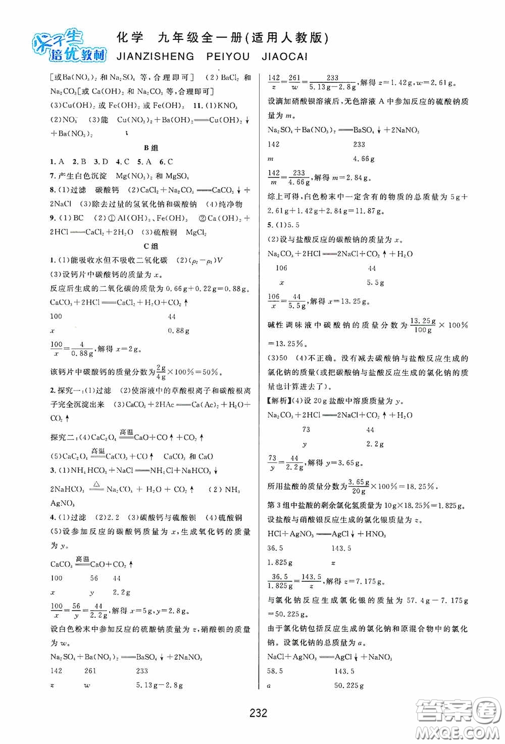 華東師范大學(xué)出版社2020尖子生培優(yōu)教材九年級化學(xué)全一冊人教版雙色版答案