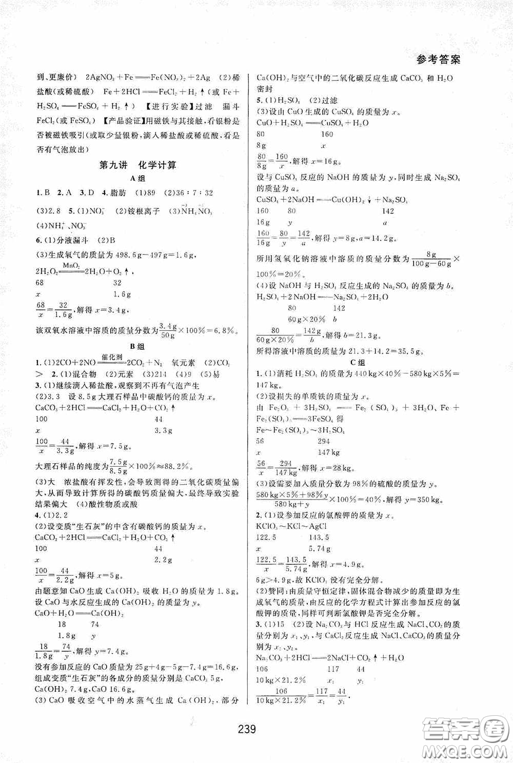 華東師范大學(xué)出版社2020尖子生培優(yōu)教材九年級化學(xué)全一冊人教版雙色版答案