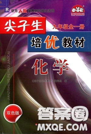 華東師范大學(xué)出版社2020尖子生培優(yōu)教材九年級化學(xué)全一冊人教版雙色版答案