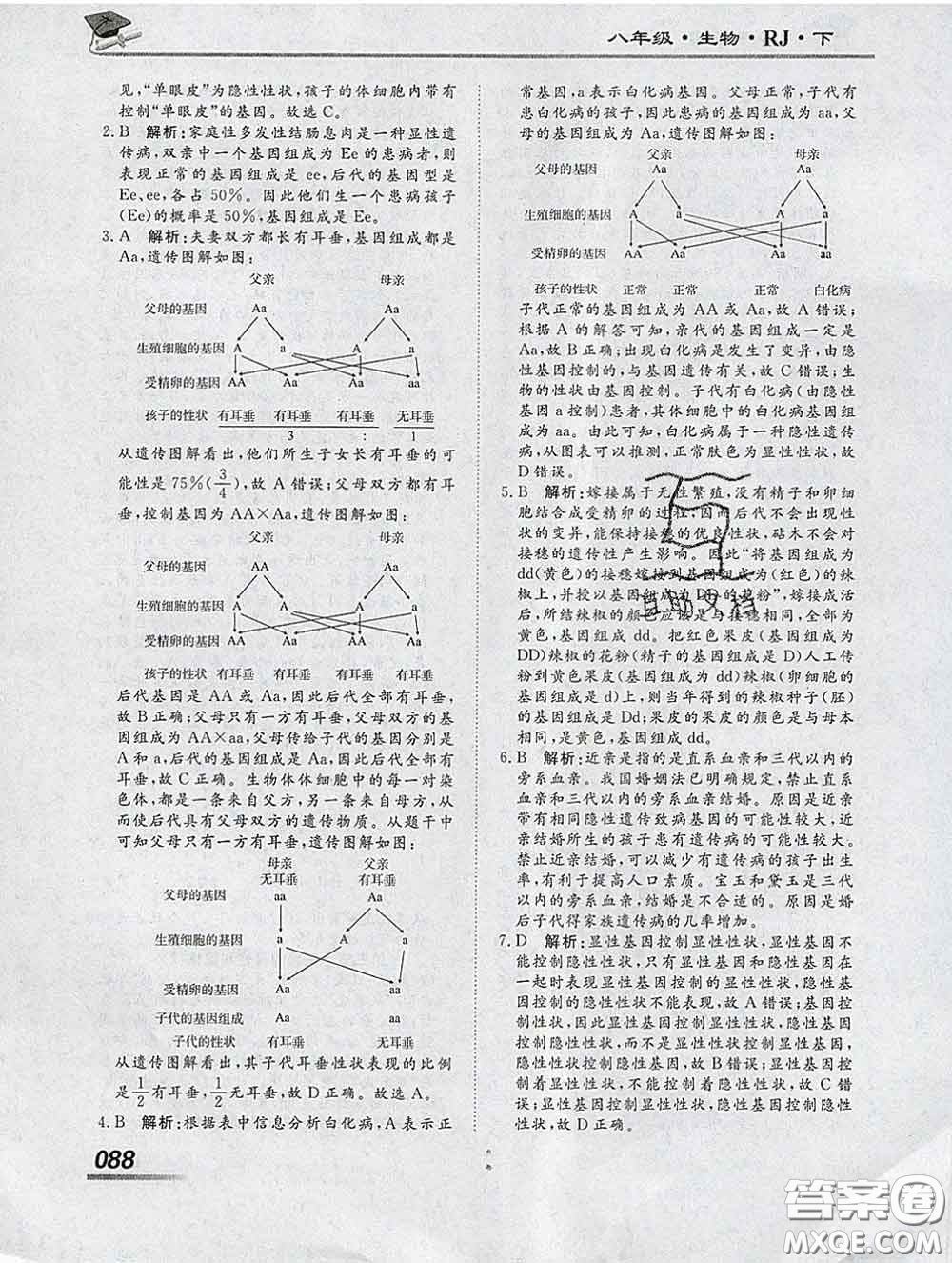 2020一川教育學考A+課堂檢測10分鐘八年級生物下冊人教版答案