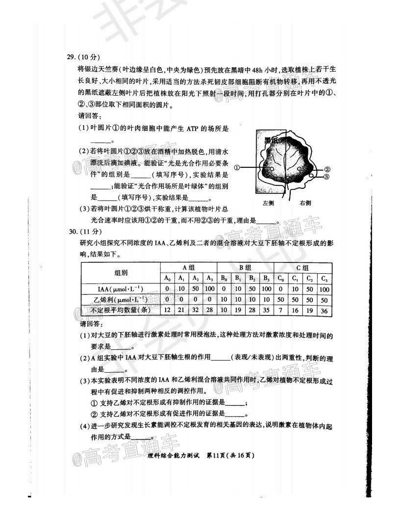 廈門市2020屆高中畢業(yè)班第一次質(zhì)量檢查理科綜合試題及答案