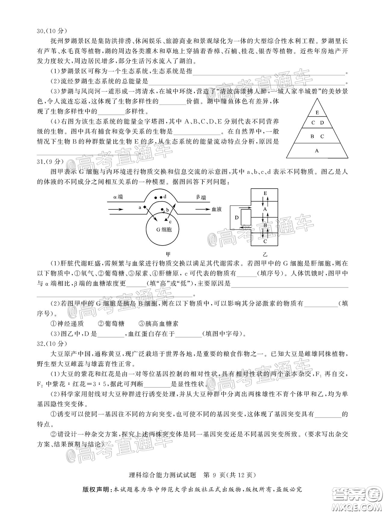 華大新高考聯(lián)盟2020屆高三4月教學(xué)質(zhì)量測(cè)評(píng)理科綜合試題及答案