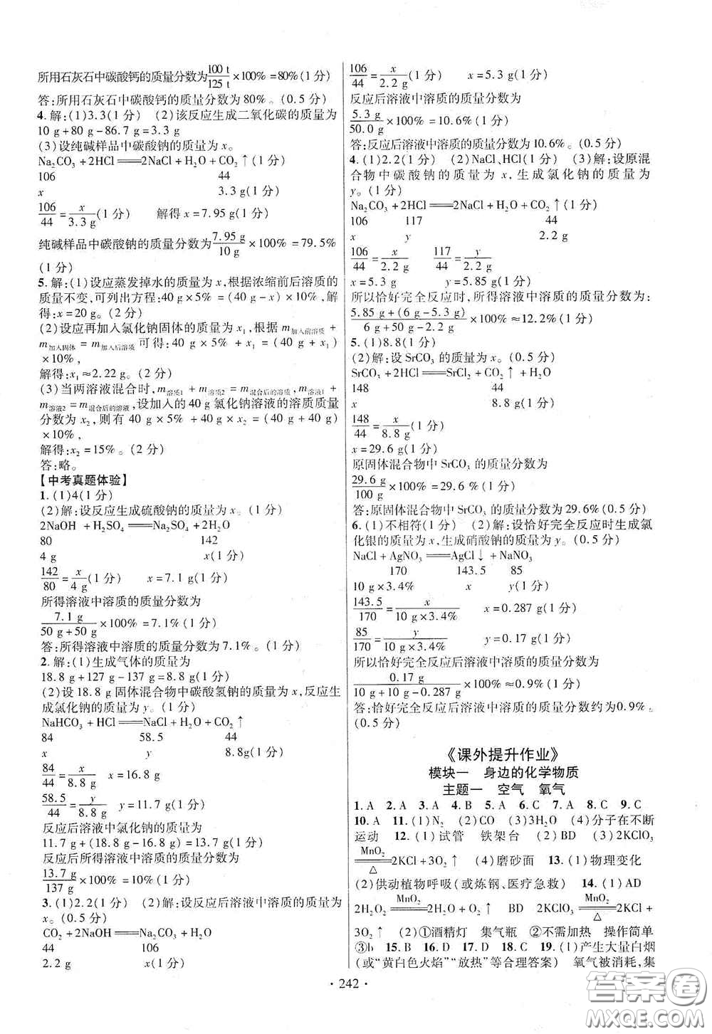 2020云南本土初中總復(fù)習(xí)掌控中考課外提升作業(yè)化學(xué)答案