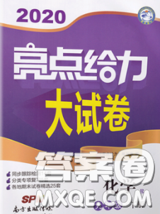 新世紀(jì)出版社2020春亮點給力大試卷九年級化學(xué)下冊答案