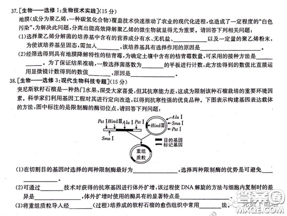 2020年湖南金太陽高三5月聯(lián)考理科綜合試題及答案