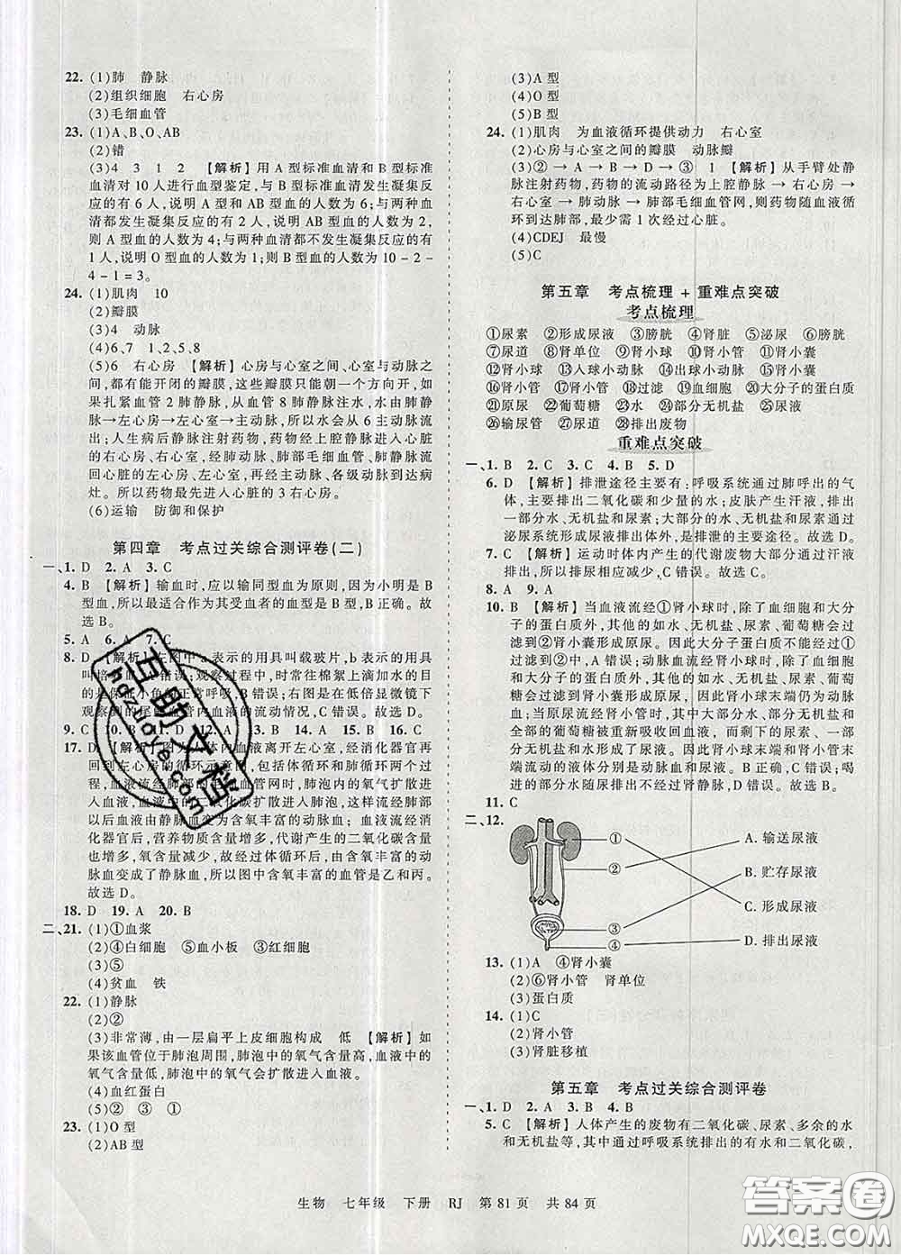 2020新版王朝霞考點(diǎn)梳理時(shí)習(xí)卷七年級(jí)生物下冊(cè)人教版答案