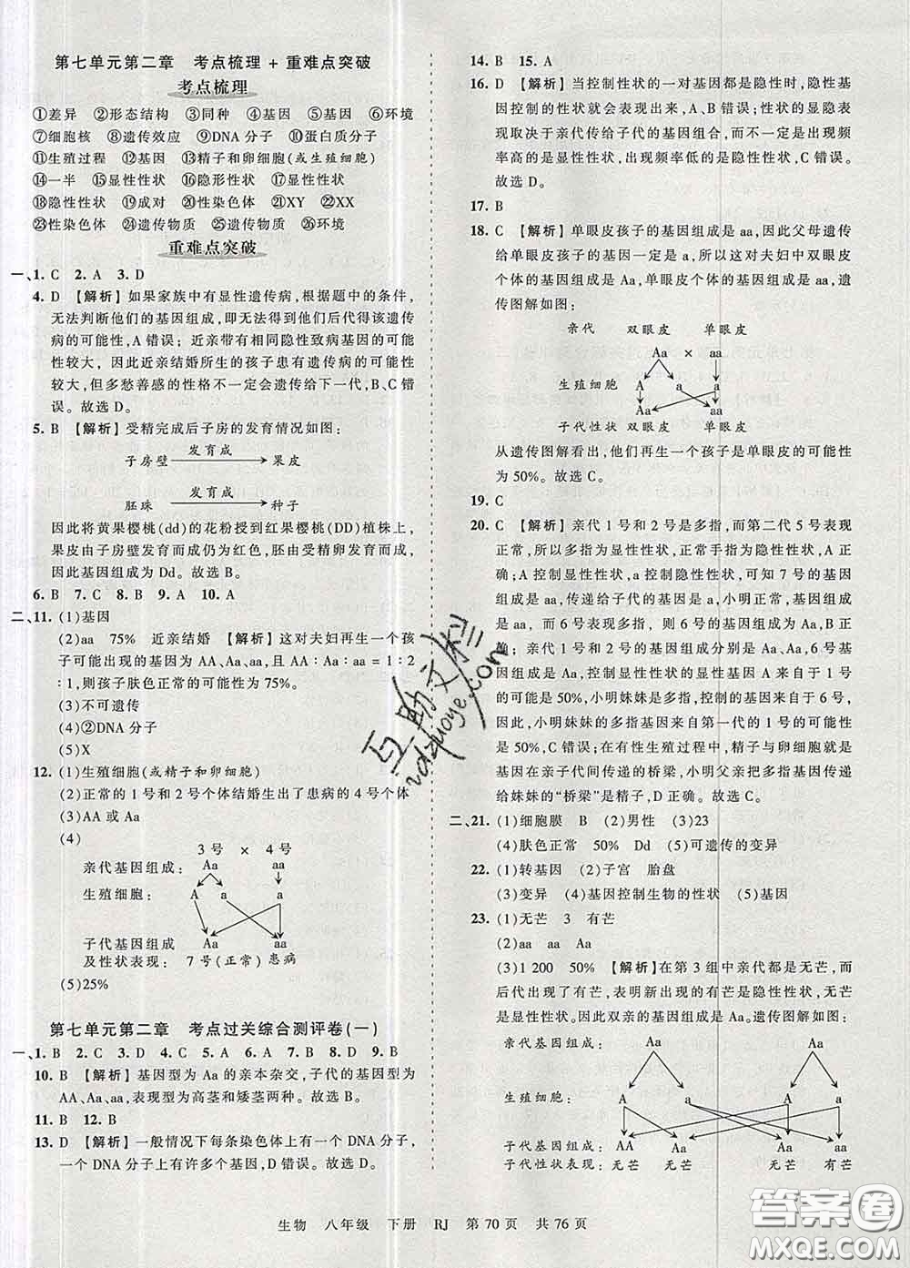 2020新版王朝霞考點(diǎn)梳理時(shí)習(xí)卷八年級(jí)生物下冊(cè)人教版答案