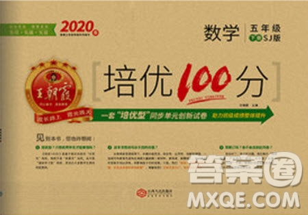 2020年王朝霞培優(yōu)100分?jǐn)?shù)學(xué)五年級下冊SJ蘇教版參考答案