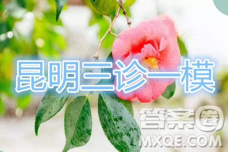 昆明市2020屆三診一模高三復(fù)習(xí)教學(xué)質(zhì)量檢測理科數(shù)學(xué)試題及答案