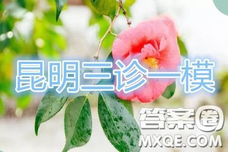 昆明市2020屆三診一模高三復(fù)習(xí)教學(xué)質(zhì)量檢測(cè)文科數(shù)學(xué)試題及答案