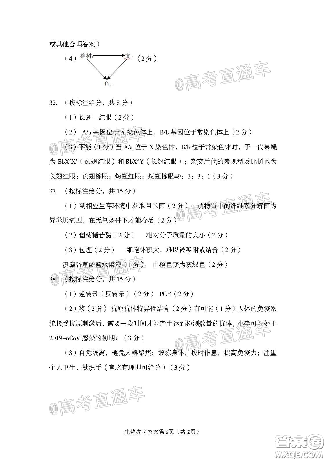 2020年武漢市部分學(xué)校高三在線學(xué)習(xí)摸底檢測(cè)理科綜合試題及答案