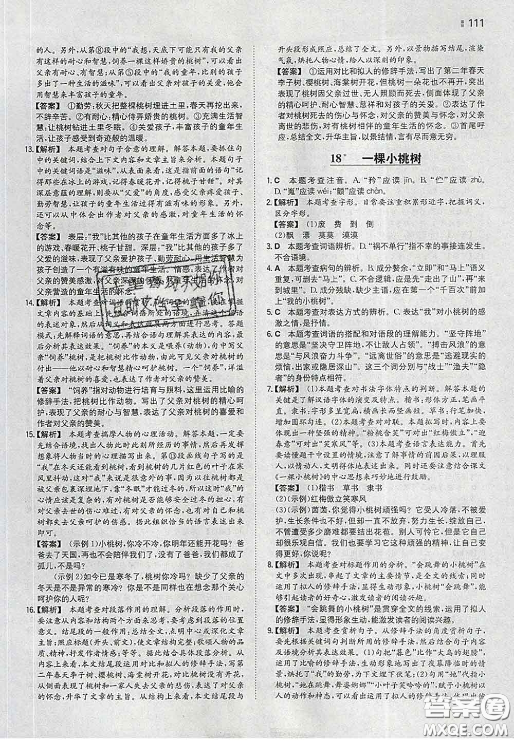 2020新版一本同步訓練初中語文七年級下冊人教版答案