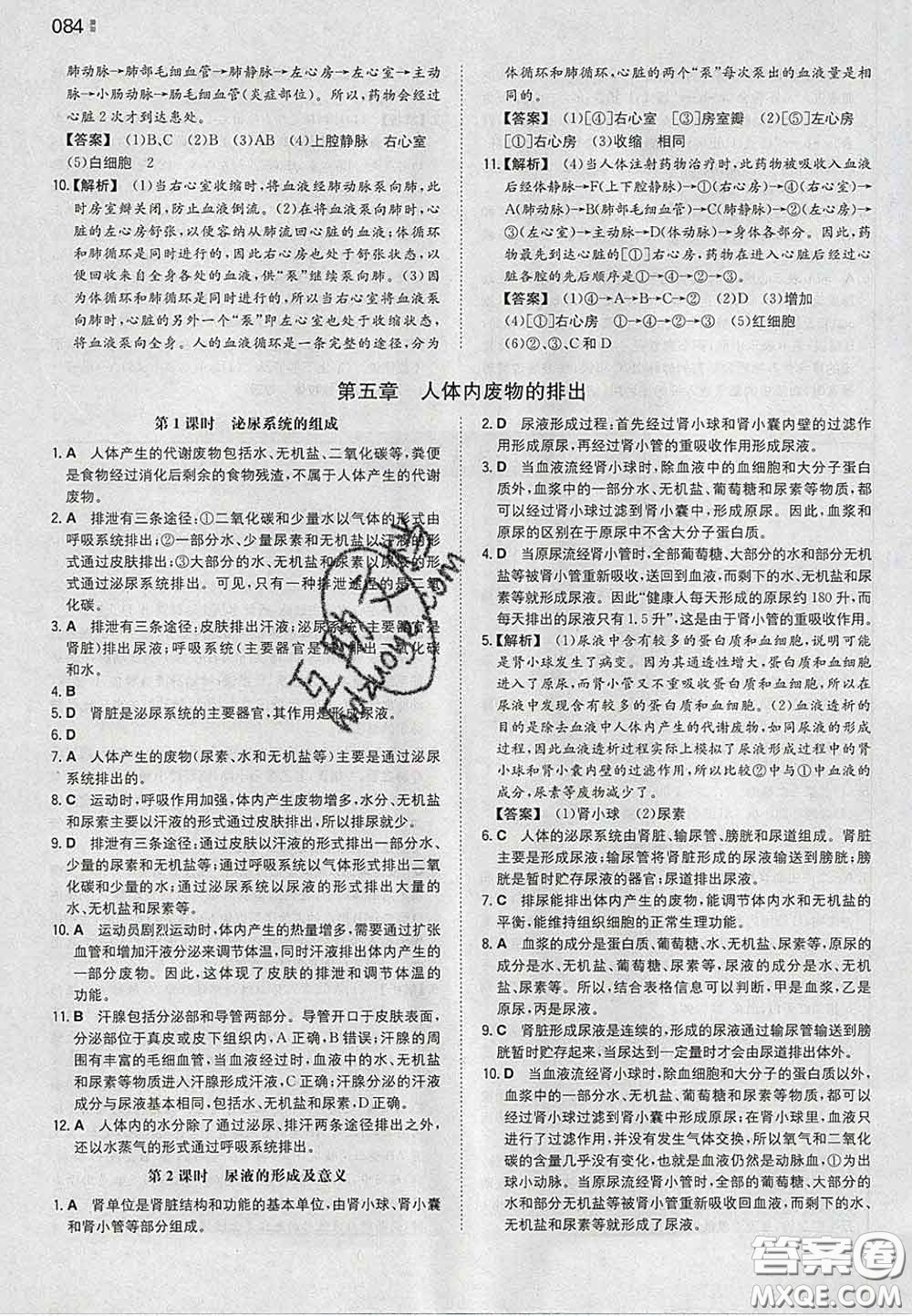 2020新版一本同步訓(xùn)練初中生物七年級(jí)下冊(cè)人教版答案