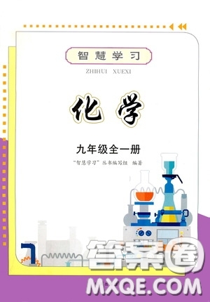 明天出版社2020智慧學習化學九年級全一冊答案