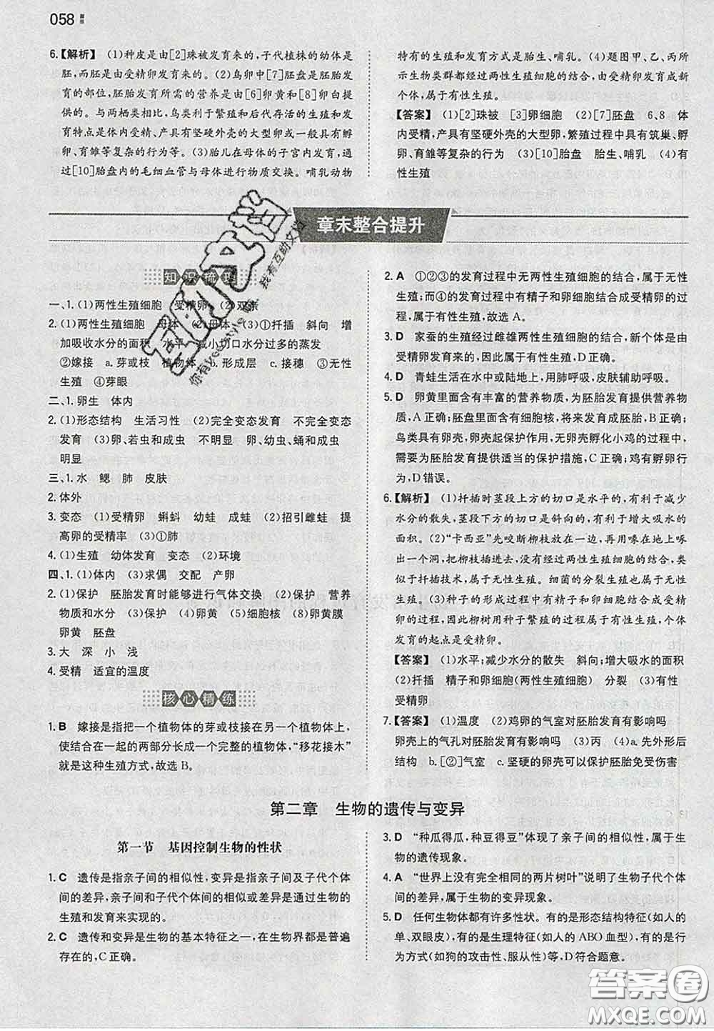 2020新版一本同步訓(xùn)練初中生物八年級下冊人教版答案