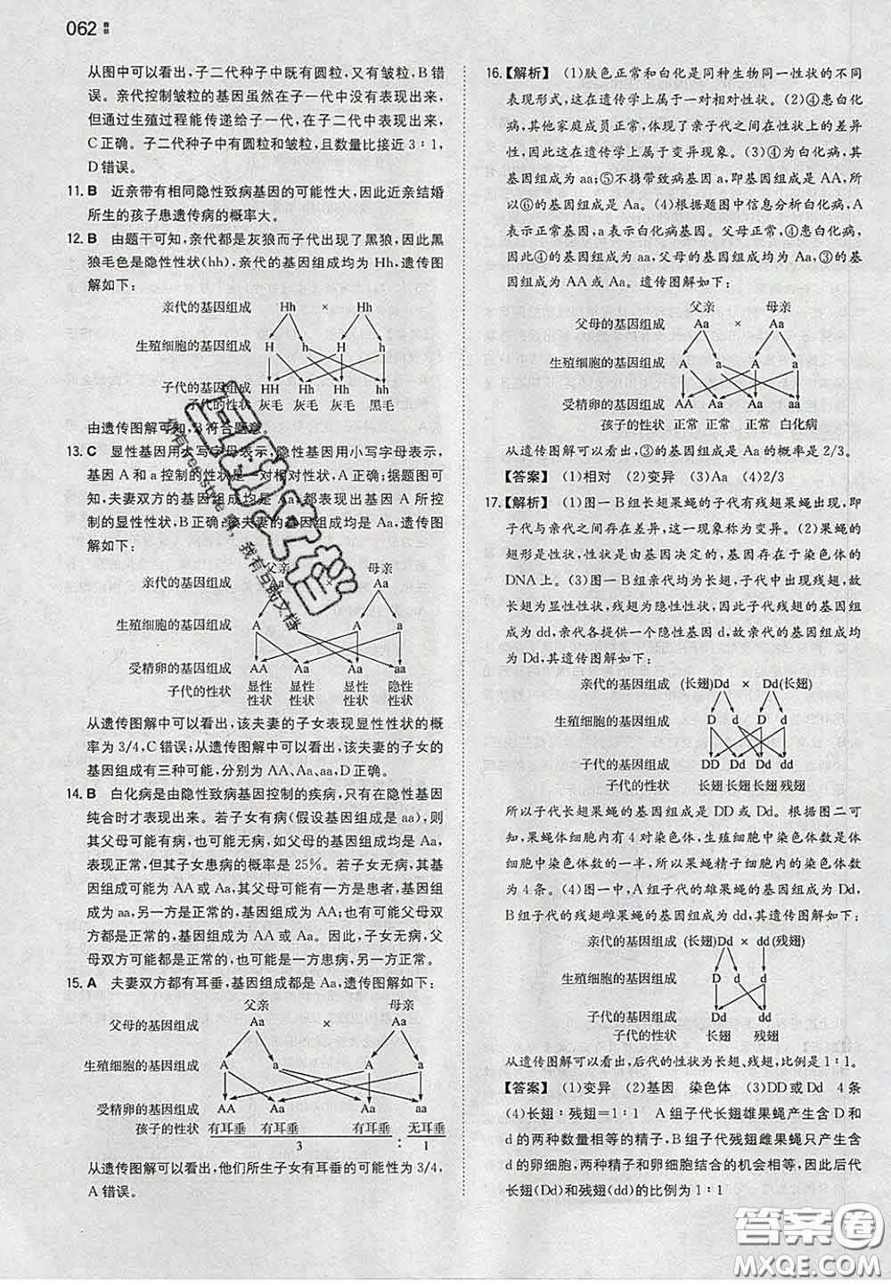 2020新版一本同步訓(xùn)練初中生物八年級下冊人教版答案