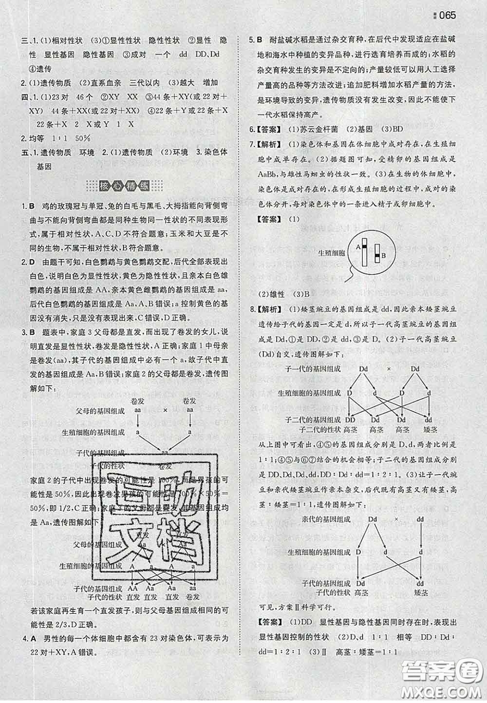 2020新版一本同步訓(xùn)練初中生物八年級下冊人教版答案