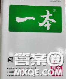 2020新版一本同步訓(xùn)練初中英語(yǔ)九年級(jí)下冊(cè)滬教版答案