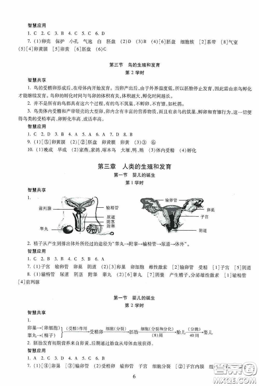 明天出版社2020智慧學(xué)習(xí)生物學(xué)八年級全一冊答案