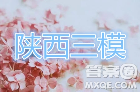 2020年陜西省高三教學(xué)質(zhì)檢監(jiān)測(cè)三英語答案