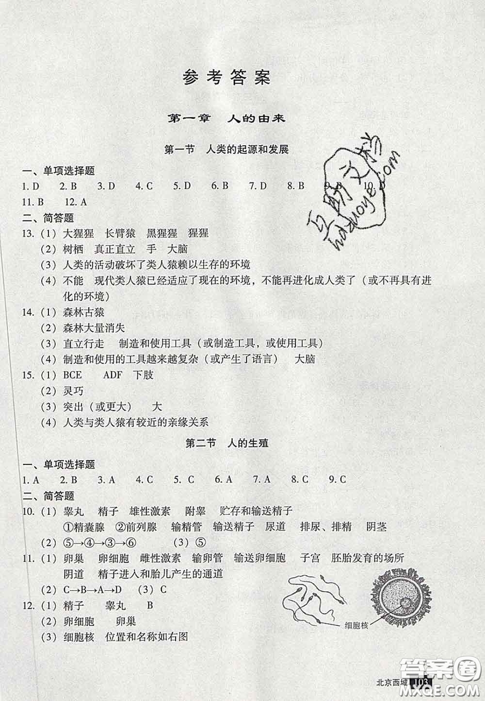 2020春北京西城學(xué)習(xí)探究診斷七年級(jí)生物下冊(cè)人教版答案