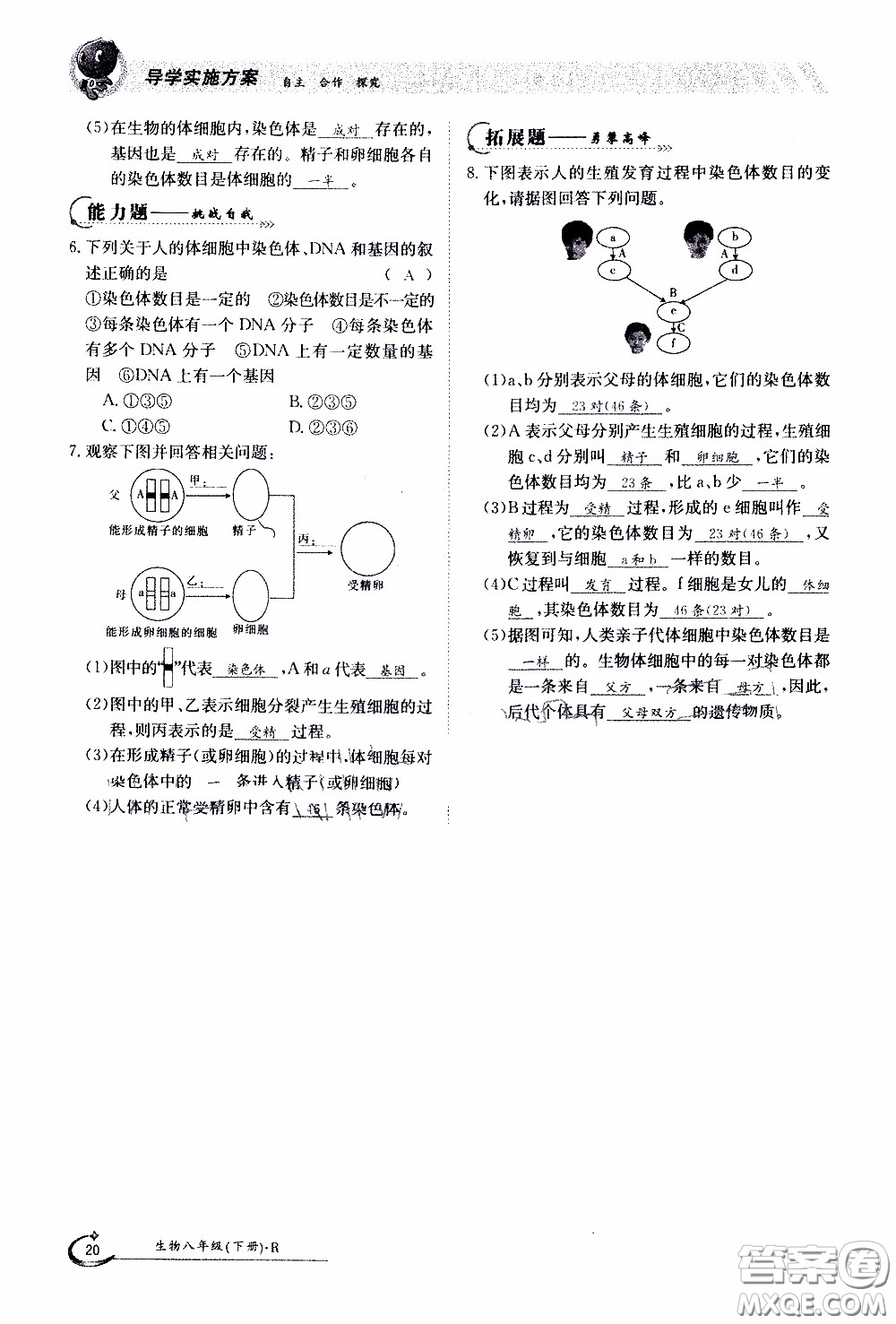 江西高校出版社2020年金太陽導(dǎo)學(xué)案生物八年級下冊參考答案