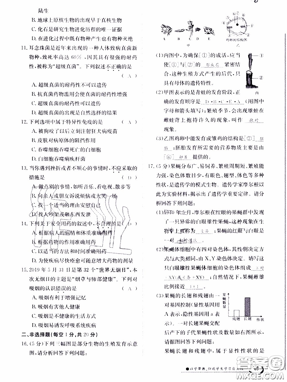 江西高校出版社2020年金太陽導(dǎo)學(xué)案生物八年級下冊參考答案