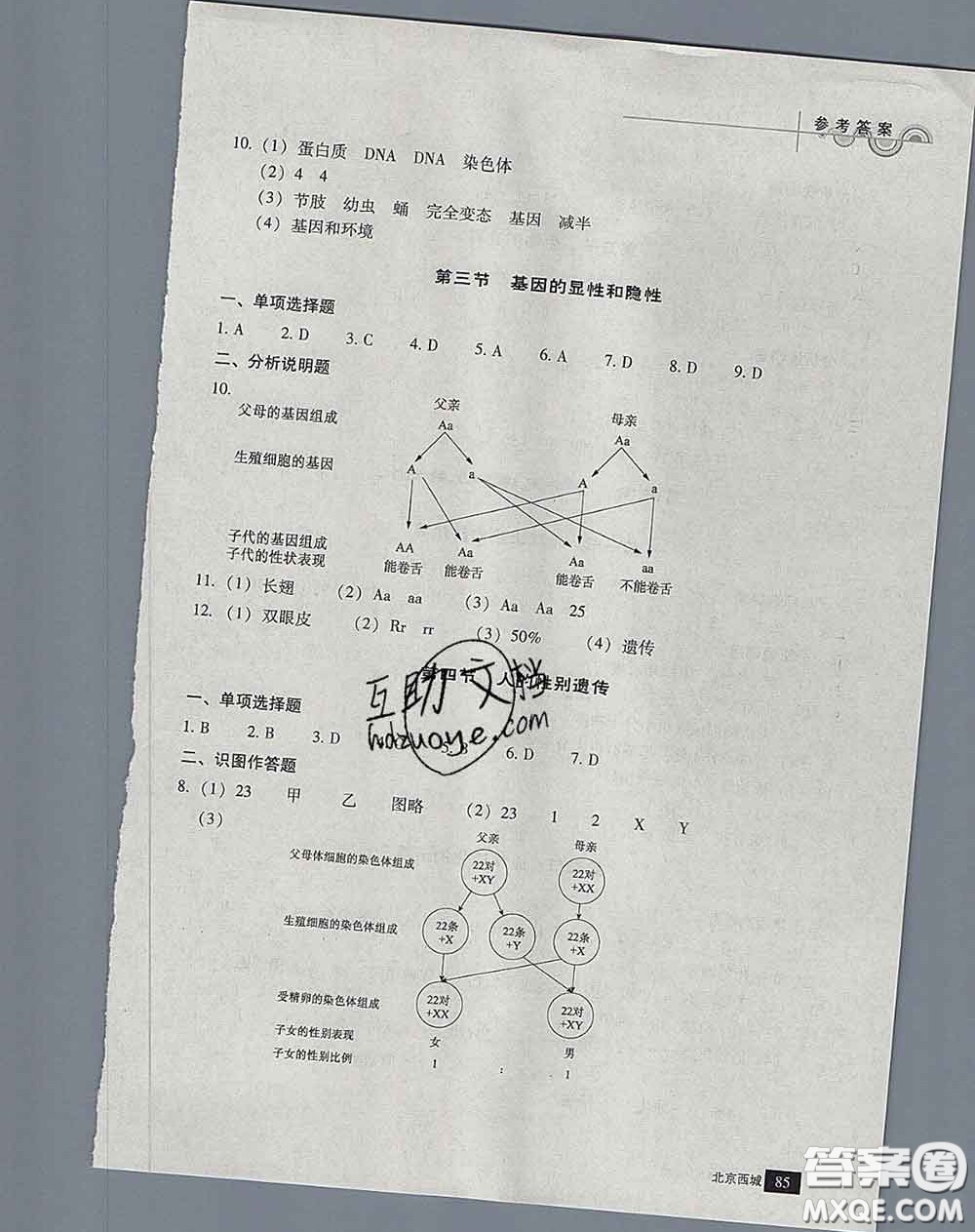 2020春北京西城學(xué)習(xí)探究診斷八年級(jí)生物下冊(cè)人教版答案