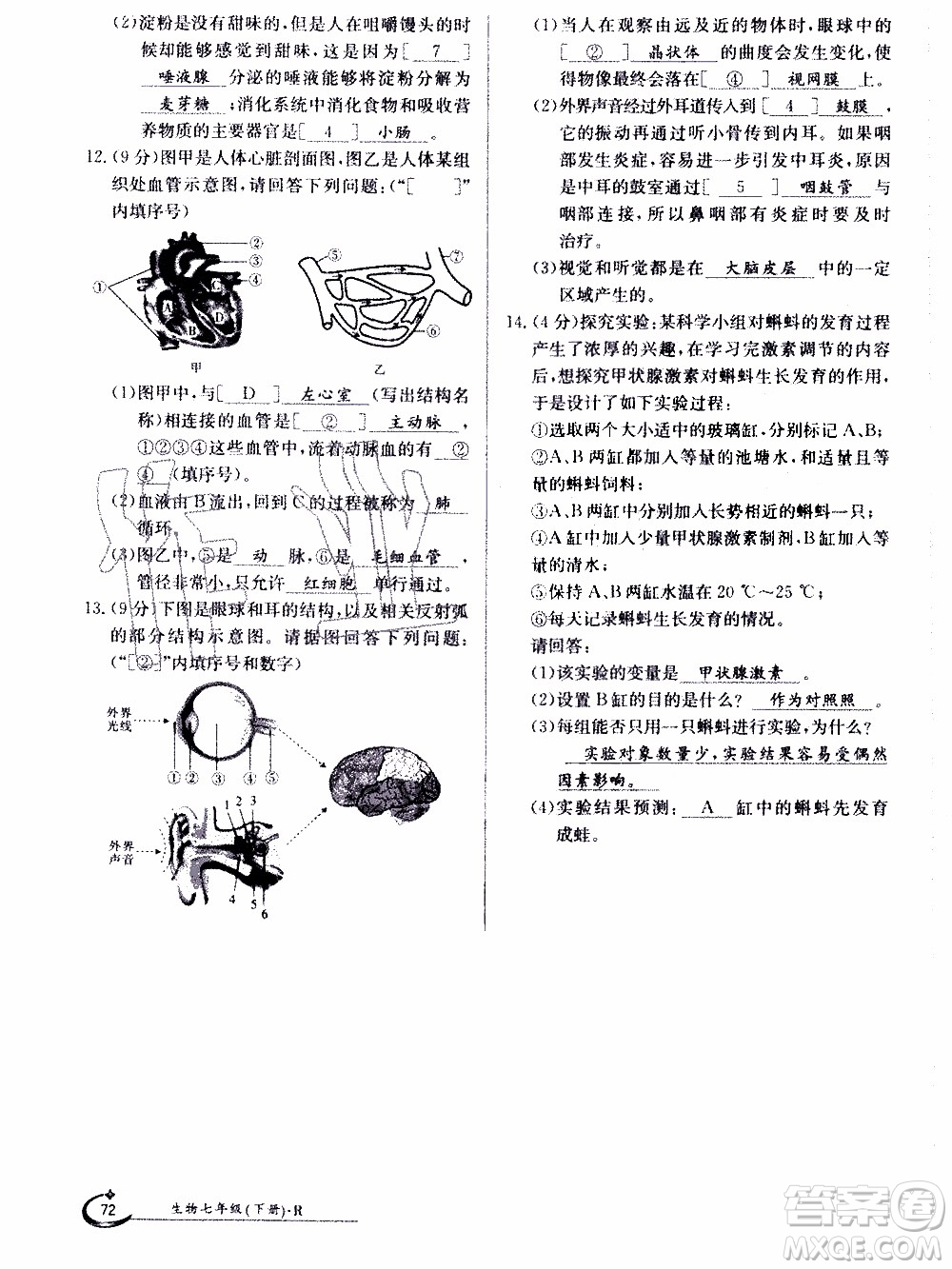 江西高校出版社2020年金太陽導(dǎo)學(xué)案生物七年級下冊參考答案