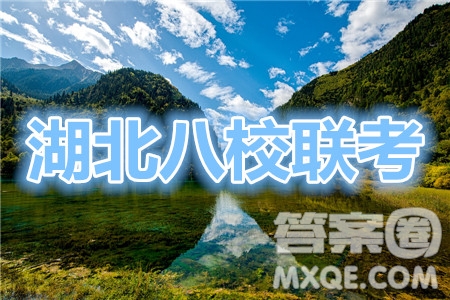 2020屆高三湖北八校第二次聯(lián)考理科綜合試題及答案