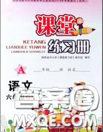 陜西師范大學(xué)出版社2020春課堂練習(xí)冊六年級語文下冊A版答案