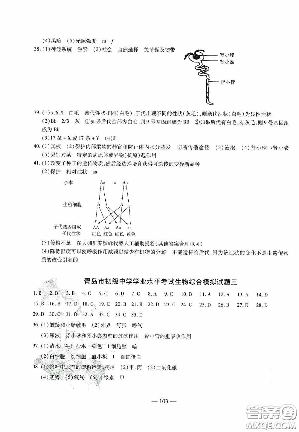 四維文化中考考什么2020中考沖刺模擬卷生物答案