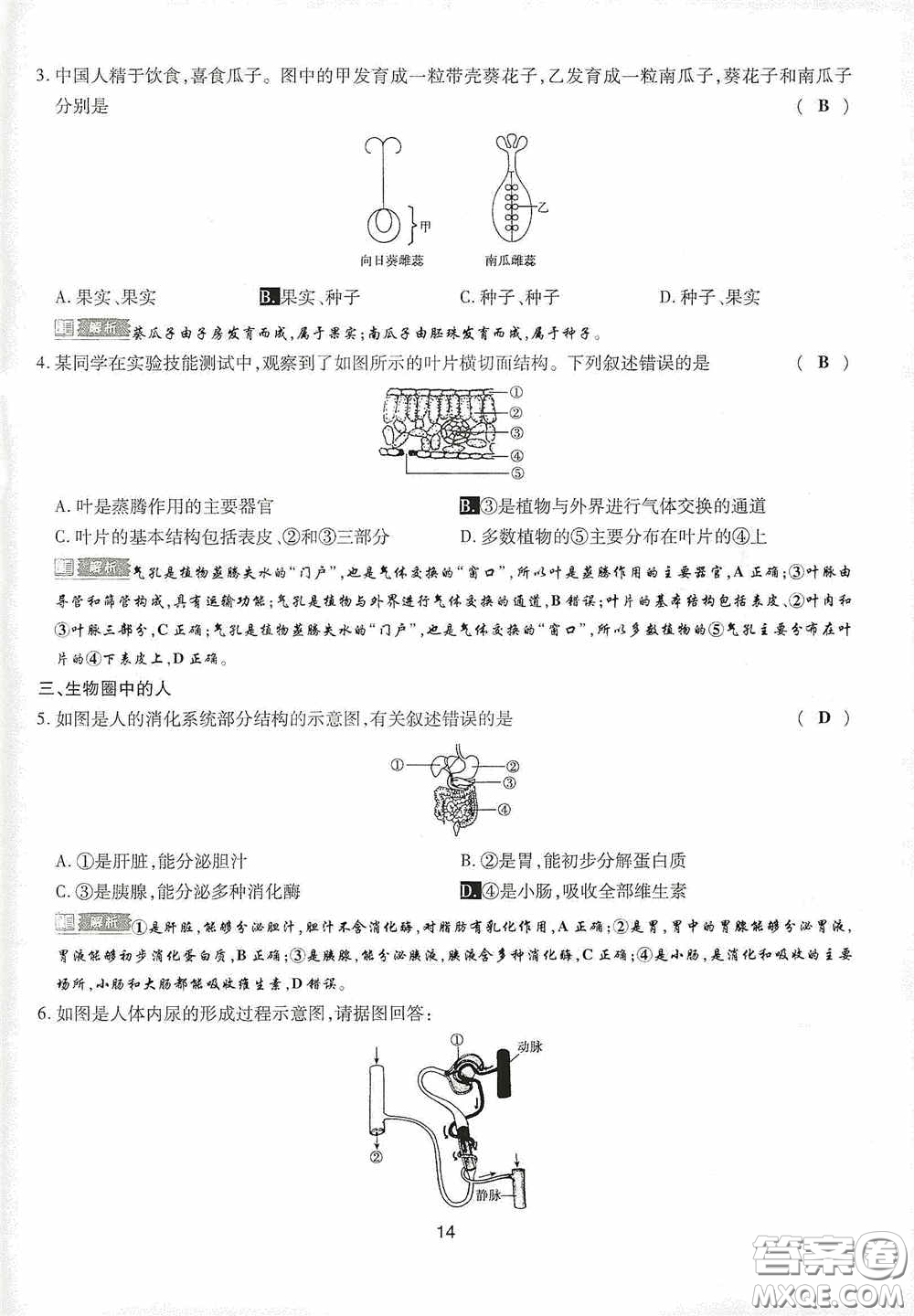 2020江西中考必備中考一卷通生物答案