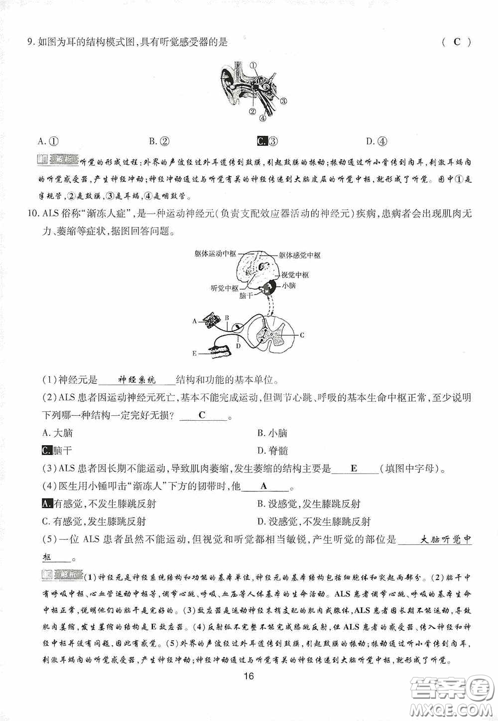 2020江西中考必備中考一卷通生物答案