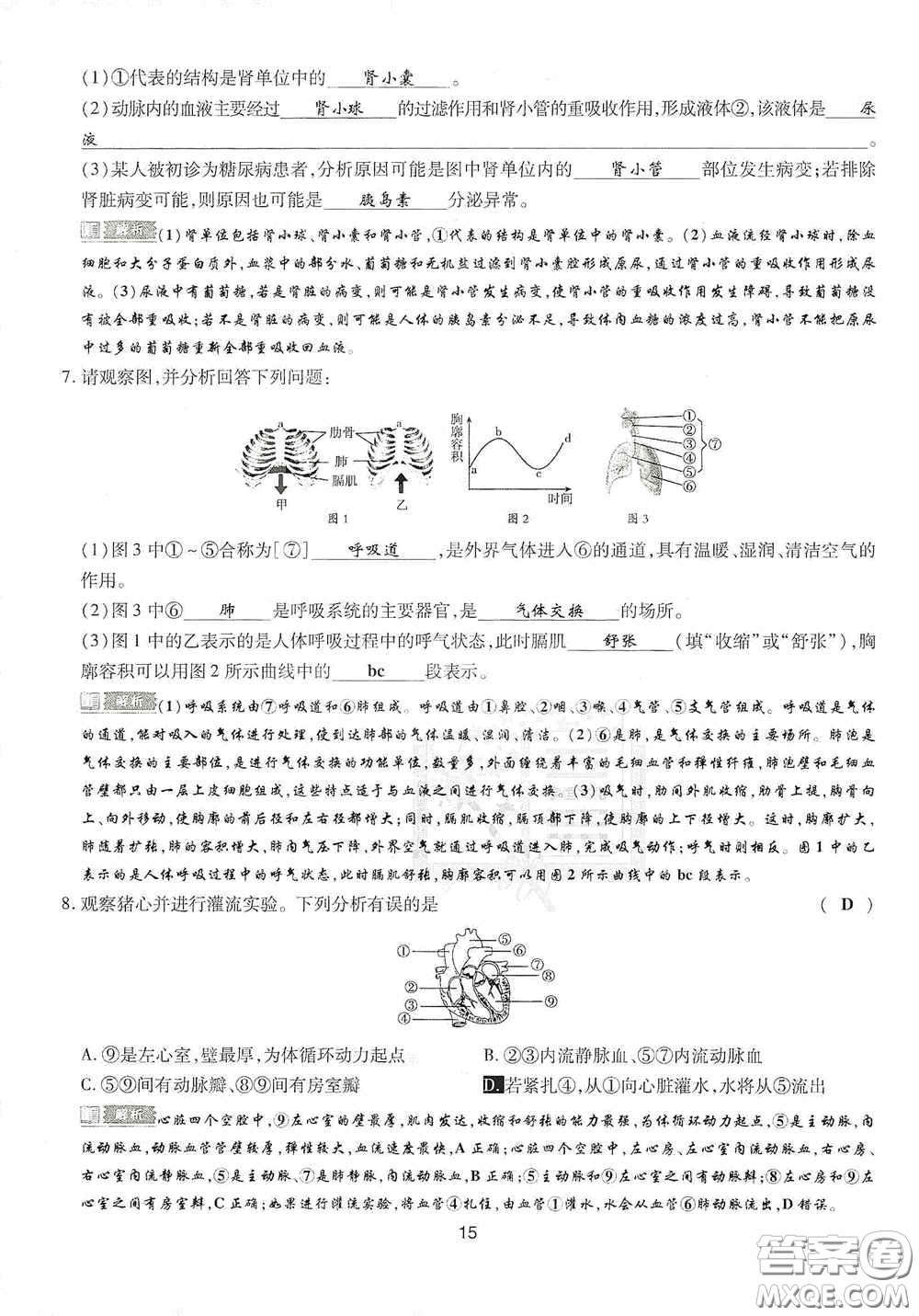 2020江西中考必備中考一卷通生物答案