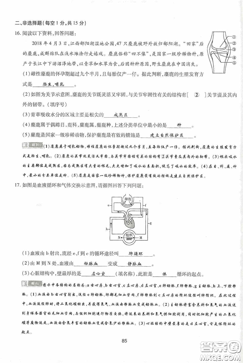 2020江西中考必備中考一卷通生物答案