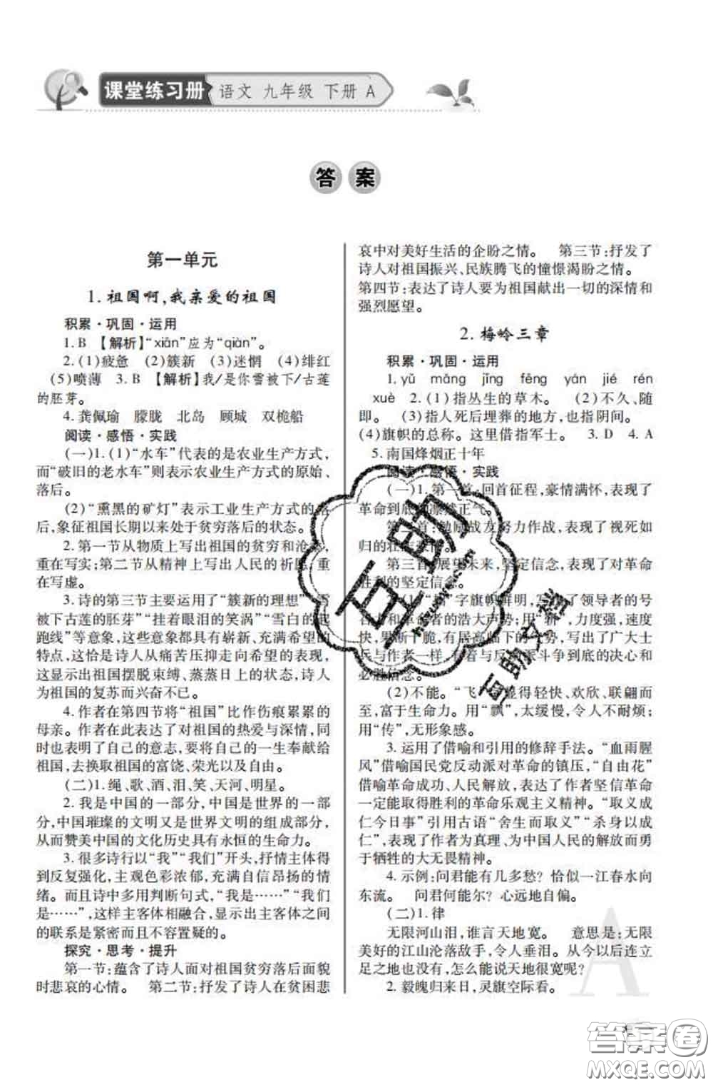 陜西師范大學(xué)出版社2020春課堂練習(xí)冊九年級語文下冊A版答案