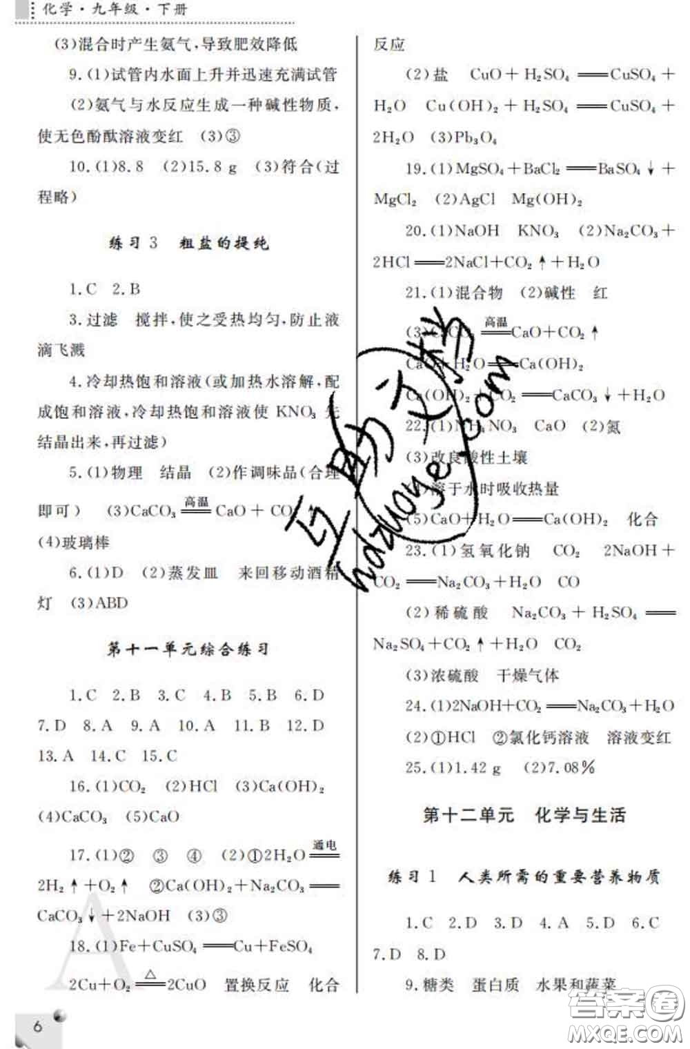 陜西師范大學(xué)出版社2020春課堂練習(xí)冊(cè)九年級(jí)化學(xué)下冊(cè)A版答案