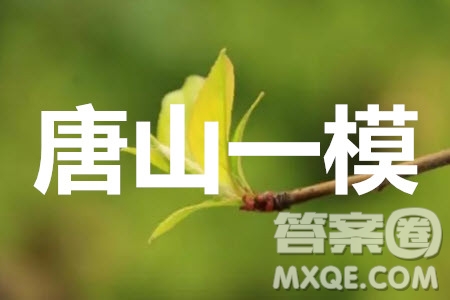 唐山市2019-2020學年度高三年級第一次模擬考試理科數(shù)學試題及答案