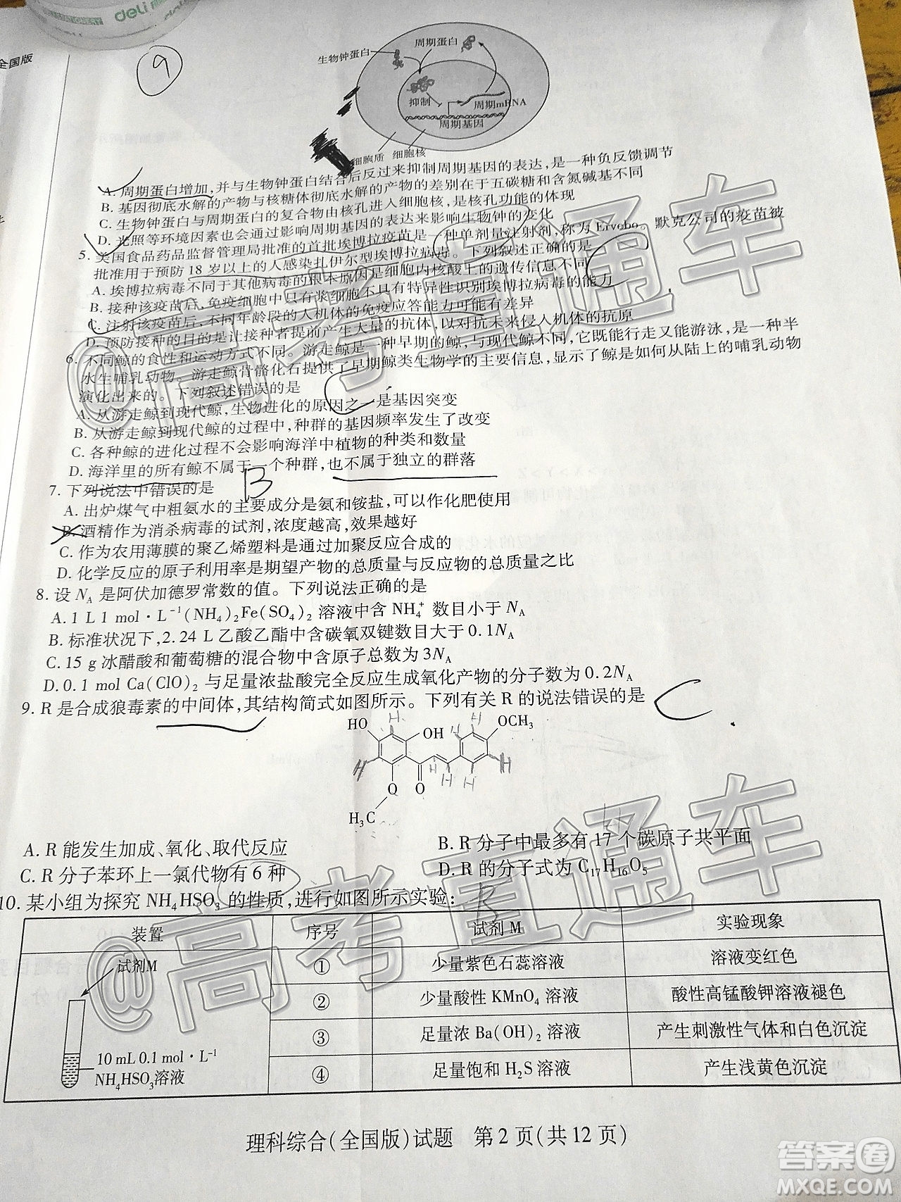 天一大聯(lián)考2019-2020學(xué)年高中畢業(yè)班階段性檢測三理科綜合試題及答案