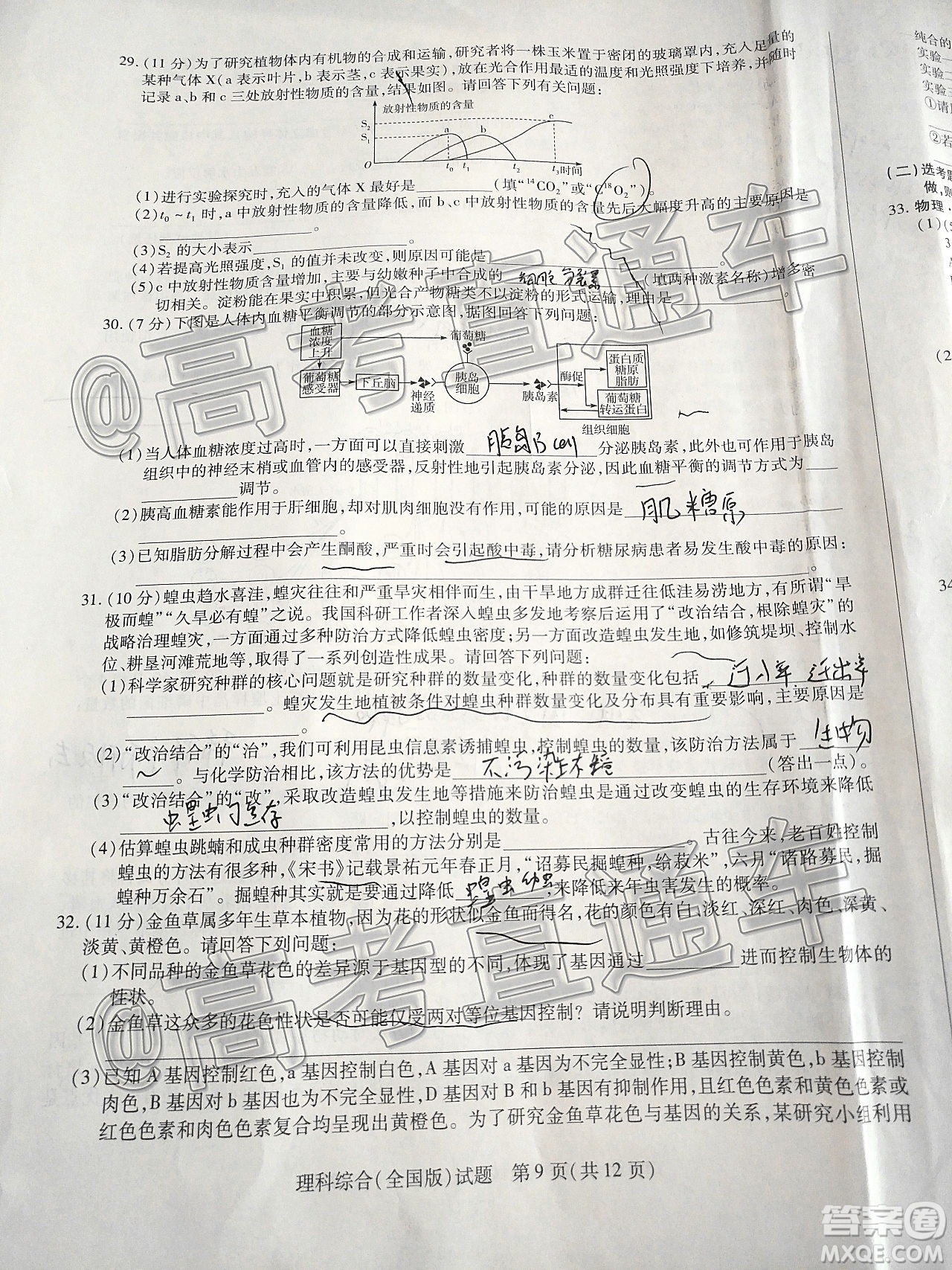 天一大聯(lián)考2019-2020學(xué)年高中畢業(yè)班階段性檢測三理科綜合試題及答案