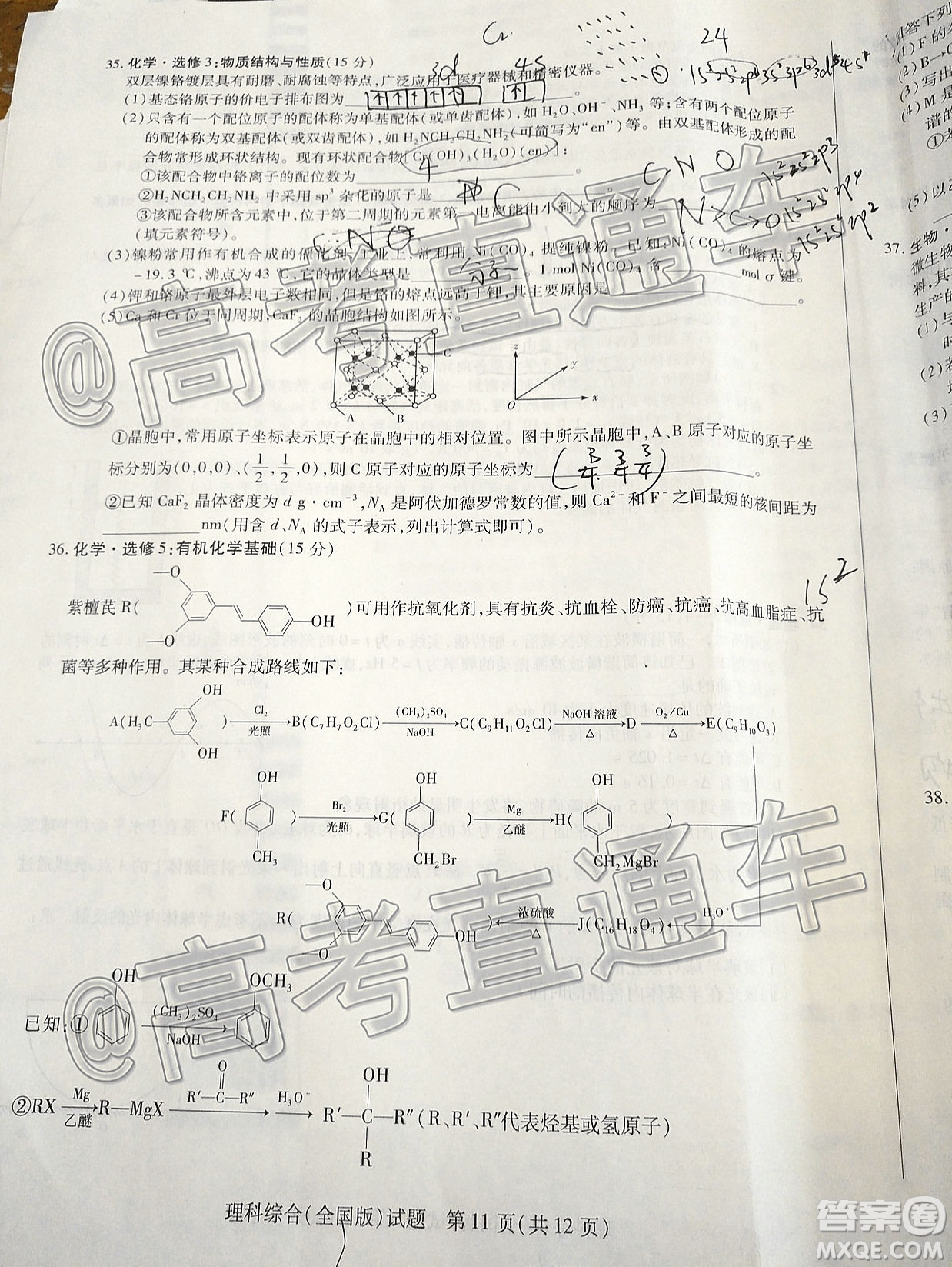 天一大聯(lián)考2019-2020學(xué)年高中畢業(yè)班階段性檢測三理科綜合試題及答案