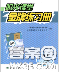 2020新版陽(yáng)光課堂金牌練習(xí)冊(cè)八年級(jí)物理下冊(cè)人教版答案