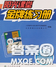 2020新版陽光課堂金牌練習(xí)冊九年級(jí)化學(xué)下冊人教版答案