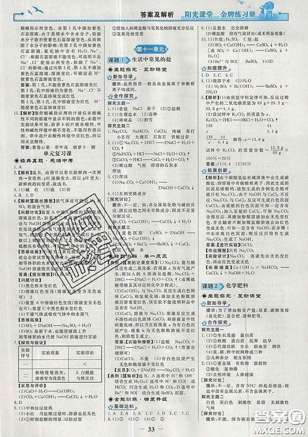 2020新版陽光課堂金牌練習(xí)冊九年級(jí)化學(xué)下冊人教版答案