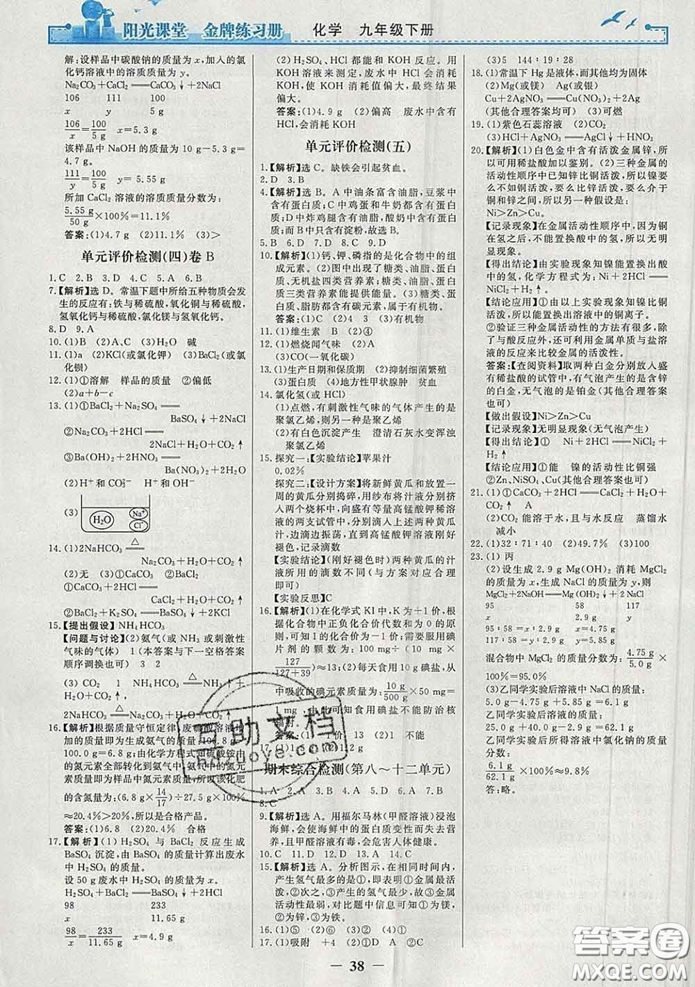 2020新版陽光課堂金牌練習(xí)冊九年級(jí)化學(xué)下冊人教版答案